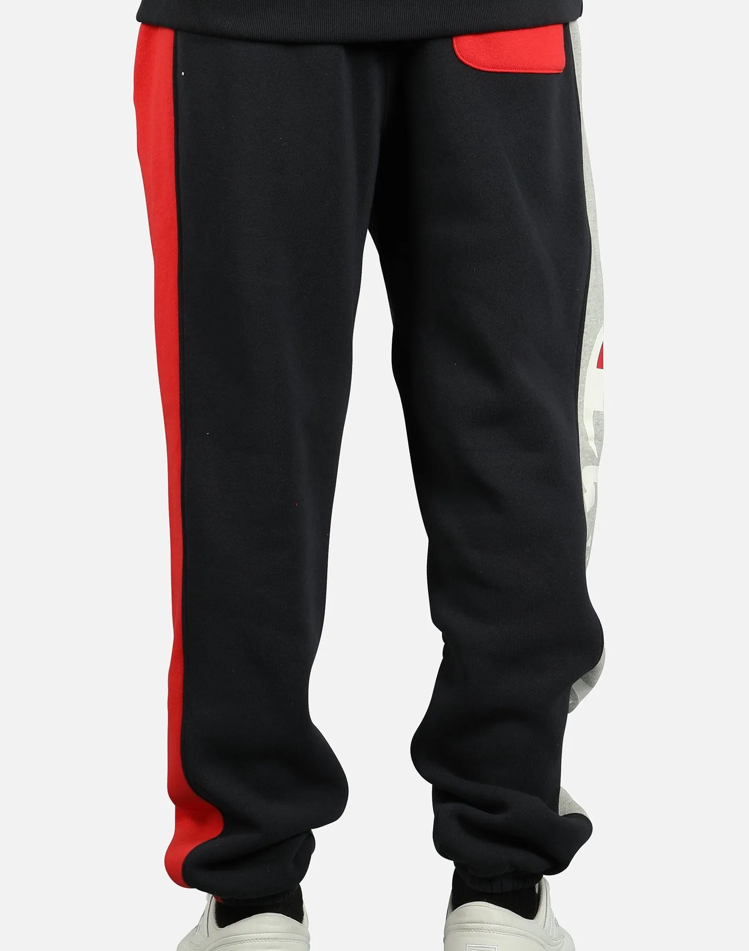 Champion REVERSE WEAVE COLORBLOCK PANTS