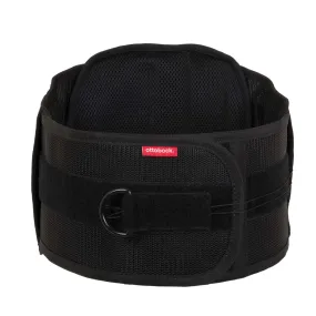 Roscoe Ottobock - AP Back Brace