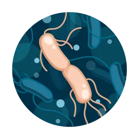 Salmonella Water Test